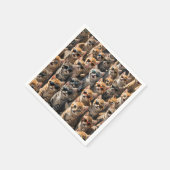 Koele katten met een zonnebril servet (Hoek)