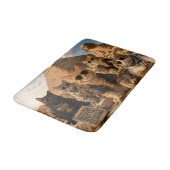 Koele katten voor piramide badmat! badmat (Gekanteld)