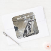 Koele Pinguïn Vierkante Sticker (Envelop)