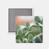 Koele Planten magneet (Voorkant / Achterkant)