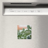 Koele Planten magneet (Insitu (Vaatwasser))