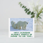 koele polaire beren design briefkaart (Staand voorkant)