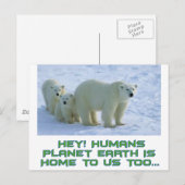 koele polaire beren design briefkaart (Voorkant / Achterkant)