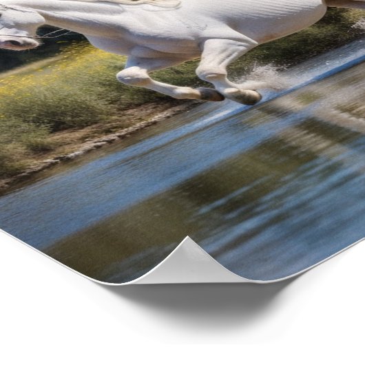 Koele Posters (Hoek)