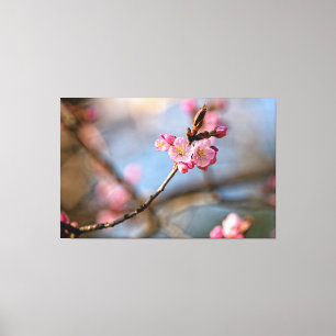 Koele Sakura Bloemen Tegen De Grijze Achtergrond Canvas Afdruk