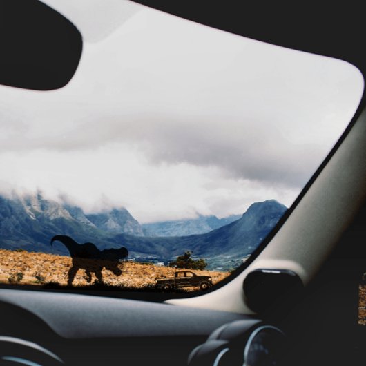 Koele T-rex dinosaurus voor auto vrachtwagenvenste Sticker