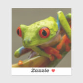 Koele tropische kikker klaar om te springen Foto Sticker (Vel)