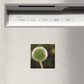 Koele Wereldbollen distelmagneet Magneet (Insitu (Vaatwasser))