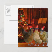 Koele Xmas kippen Feestdagenkaart (Voorkant / Achterkant)