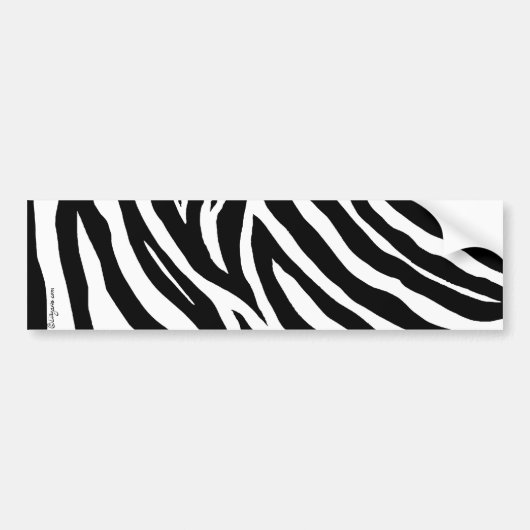 Koele zebra strepen bumpersticker (Voorkant)