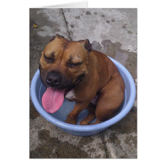 Koelen op een hete dag!