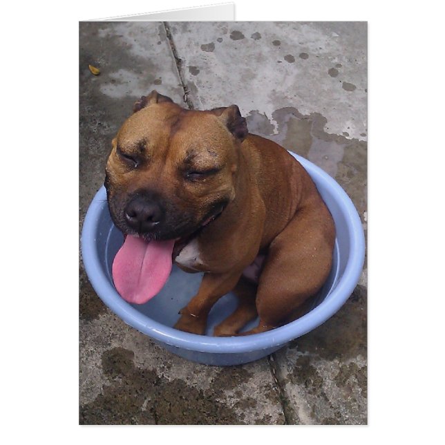 Koelen op een hete dag! (Voorkant)