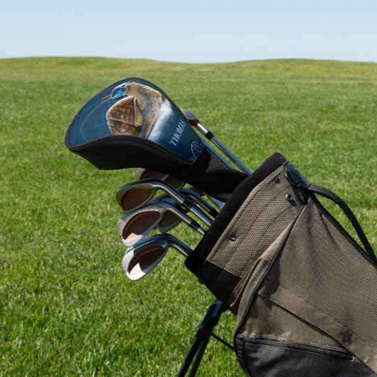 Koeler dan de rest, de snowboardslak. golfheadcover (Insitu)