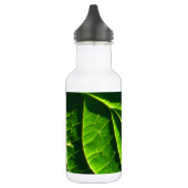 Koelgroen blad waterfles  (Links)
