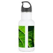 Koelgroen blad waterfles  (Achterkant)