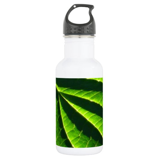 Koelgroen blad waterfles  (Voorkant)