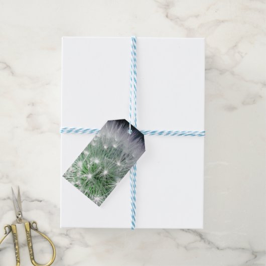 Koelgroen en witte andelion met waterdruppels cadeaulabel (Met Touw)