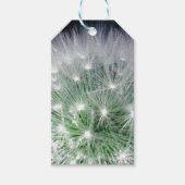 Koelgroen en witte andelion met waterdruppels cadeaulabel (Voorkant)