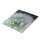 Koelgroen en witte andelion met waterdruppels tegeltje (Zijkant)