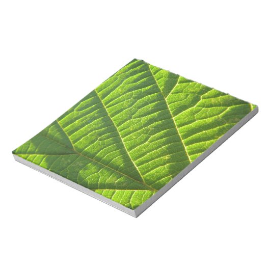 Koelgroene afdruk notitieblok (Linkerzijde)