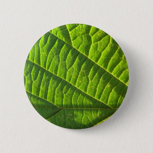 Koelgroene afdruk ronde button 5,7 cm (Voorkant)