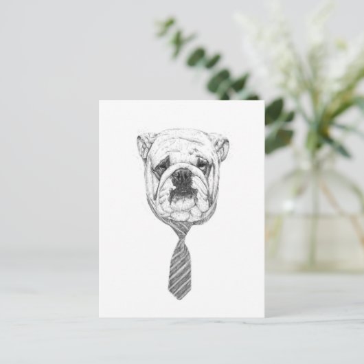 koelhond briefkaart (Staand voorkant)