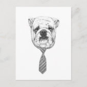 koelhond briefkaart (Voorkant)