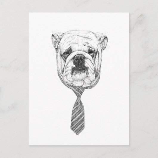 koelhond briefkaart (Voorkant)