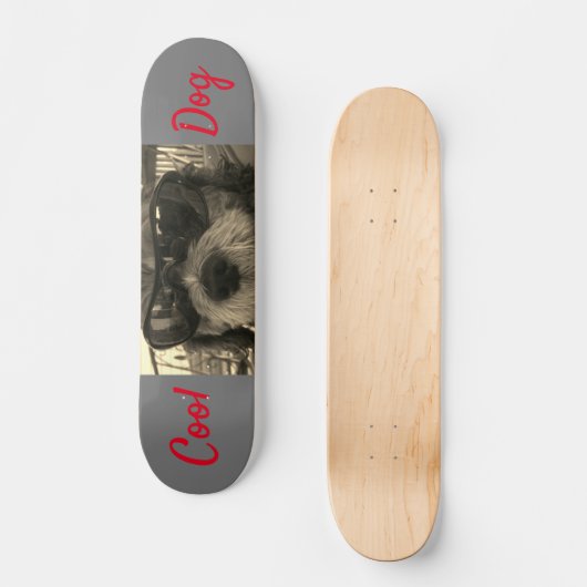 Koelhond met zonnebril persoonlijk skateboard (Voorkant)