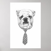 koelhond poster (Voorkant)