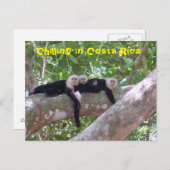 Koeling in Costa Rica Briefkaart (Voorkant / Achterkant)