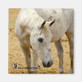 Koelkast magneet "Lester" (Voorkant)