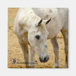 Koelkast magneet "Lester"