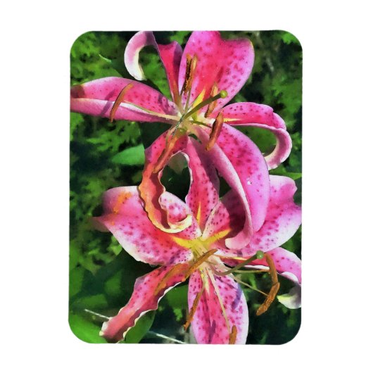 Koelkast magneet roze lelies (Verticaal)