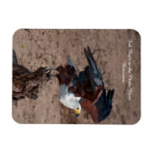 Koelkast Magneet van Fish Eagle nemen vlucht (Horizontaal)