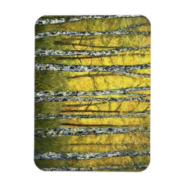 Koelkast Magnet - Acadia Forest of Birch Trees Magneet