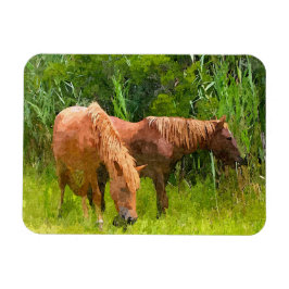 Koelkast Magnet Assateague Wilde Paarden Magneet