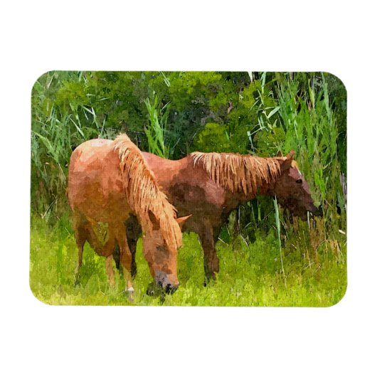Koelkast Magnet Assateague Wilde Paarden Magneet (Horizontaal)