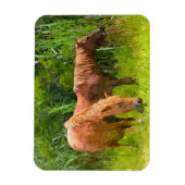 Koelkast Magnet Assateague Wilde Paarden Magneet (Verticaal)
