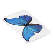 Koelkast Magnet Blue Butterfly Magneet (Rechterzijde)