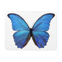 Koelkast Magnet Blue Butterfly