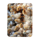 Koelkast Magnet Chick Magnet Magneet (Verticaal)