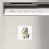 Koelkast Magnet Havanese Dog (Insitu (Vaatwasser))