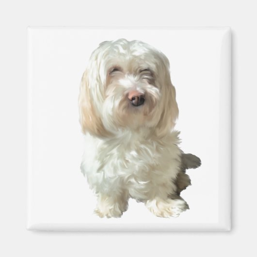 Koelkast Magnet Havanese Dog (Voorkant)