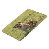 Koelkast Magnet UW Foto Sjabloon 4 x 6 Magneet (Linkerzijde)