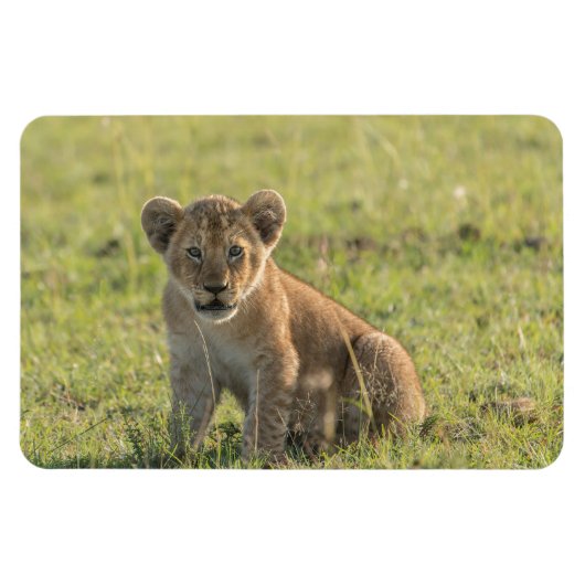 Koelkast Magnet UW Foto Sjabloon 4 x 6 Magneet (Horizontaal)