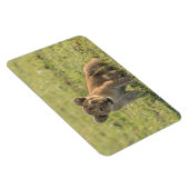 Koelkast Magnet UW Foto Sjabloon 4 x 6 Magneet (Rechterzijde)