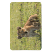 Koelkast Magnet UW Foto Sjabloon 4 x 6 Magneet (Verticaal)