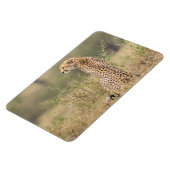 Koelkast Magnet UW Foto Sjabloon 4 x 6 Magneet (Linkerzijde)