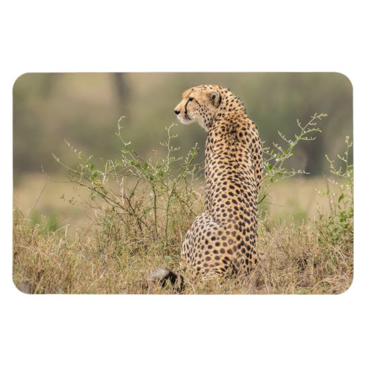 Koelkast Magnet UW Foto Sjabloon 4 x 6 Magneet (Horizontaal)